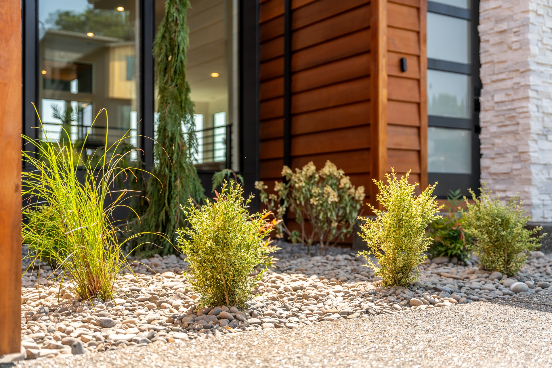 Landscaping beside cedar siding
